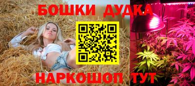 индика Кинель