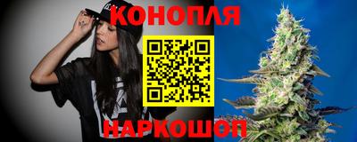 индика Кинель