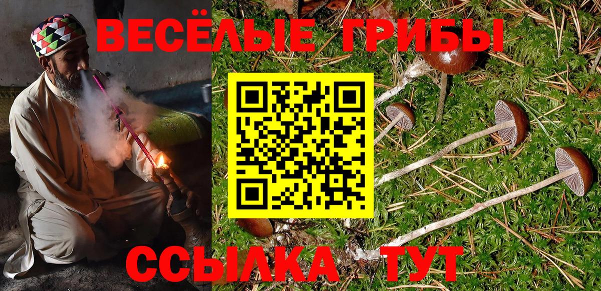 Галлюциногенные грибы ЛСД Острогожск
